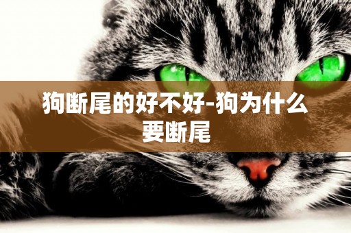 狗斷尾的好不好-狗為什么要斷尾