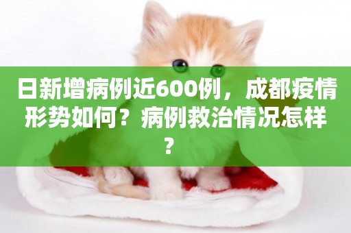 日新增病例近600例，成都疫情形勢如何？病例救治情況怎樣？ 