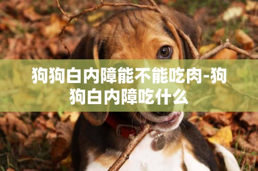 狗狗白內障能不能吃肉-狗狗白內障吃什么