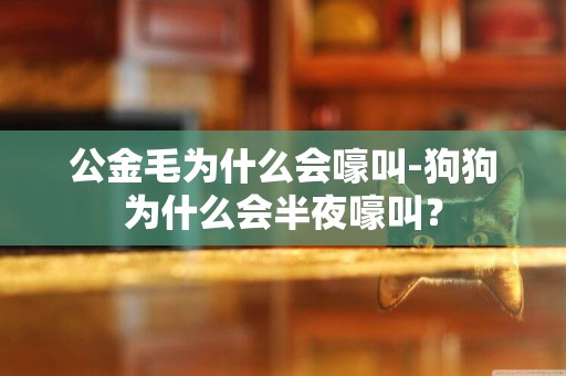 公金毛為什么會嚎叫-狗狗為什么會半夜嚎叫？