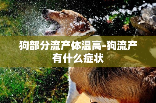 狗部分流產體溫高-狗流產有什么癥狀