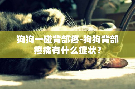 狗狗一碰背部疼-狗狗背部疼痛有什么癥狀？
