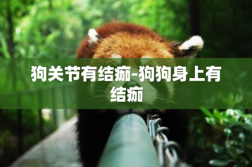 狗關節有結痂-狗狗身上有結痂