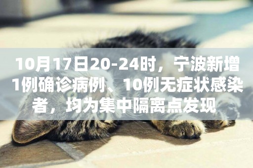10月17日20-24時，寧波新增1例確診病例、10例無癥狀感染者，均為集中隔離點發現 