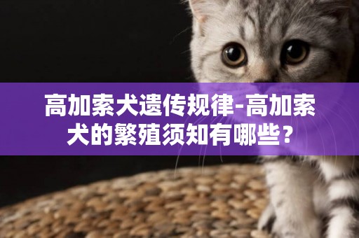 高加索犬遺傳規律-高加索犬的繁殖須知有哪些？