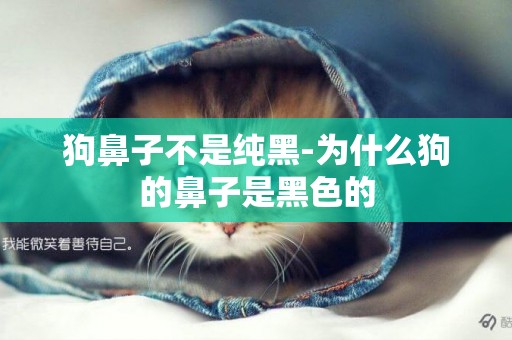狗鼻子不是純黑-為什么狗的鼻子是黑色的