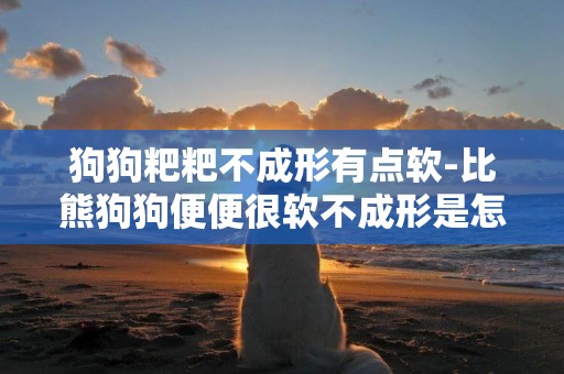 狗狗粑粑不成形有點軟-比熊狗狗便便很軟不成形是怎么回事