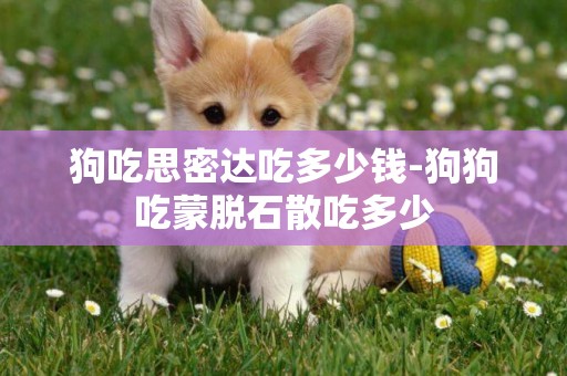 狗吃思密達吃多少錢-狗狗吃蒙脫石散吃多少