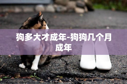狗多大才成年-狗狗幾個月成年