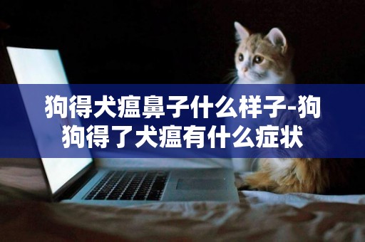 狗得犬瘟鼻子什么樣子-狗狗得了犬瘟有什么癥狀