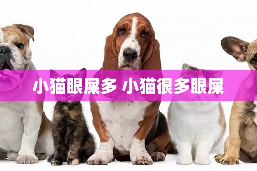 小貓眼屎多 小貓很多眼屎