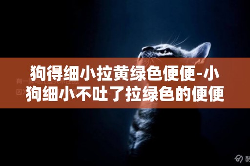 狗得細小拉黃綠色便便-小狗細小不吐了拉綠色的便便