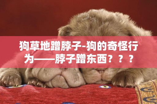 狗草地蹭脖子-狗的奇怪行為——脖子蹭東西？？？