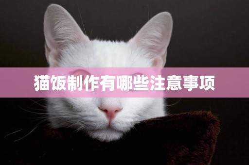貓飯制作有哪些注意事項