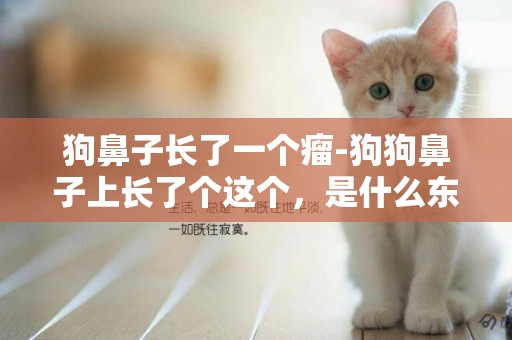 狗鼻子長了一個瘤-狗狗鼻子上長了個這個，是什么東西啊