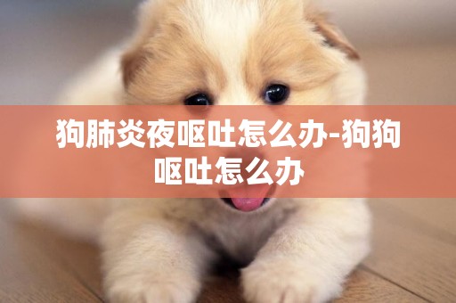 狗肺炎夜嘔吐怎么辦-狗狗嘔吐怎么辦