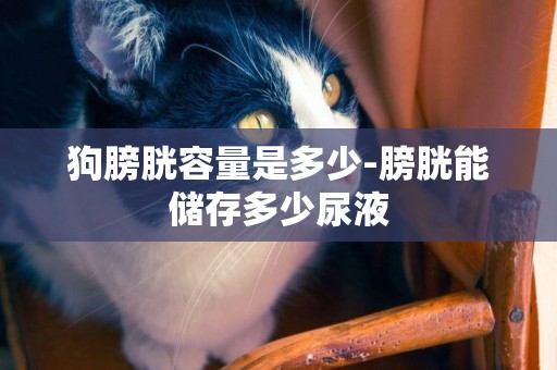狗膀胱容量是多少-膀胱能儲存多少尿液