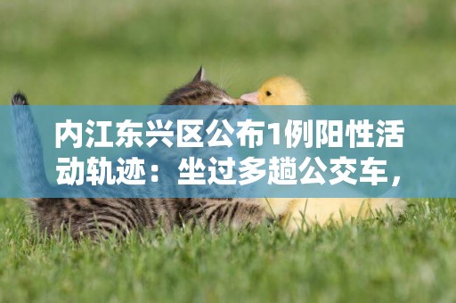 內江東興區公布1例陽性活動軌跡：坐過多趟公交車，去了兩家醫院 