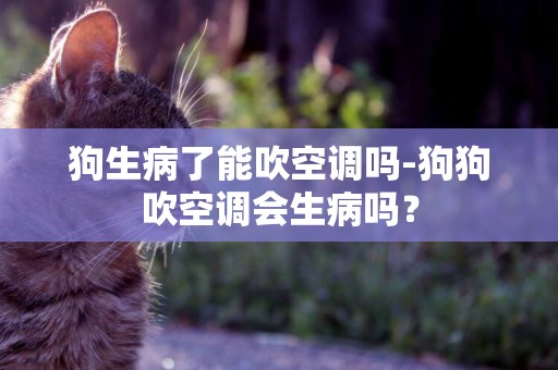 狗生病了能吹空調嗎-狗狗吹空調會生病嗎？