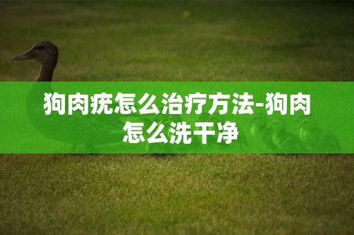 狗肉疣怎么治療方法-狗肉 怎么洗干凈
