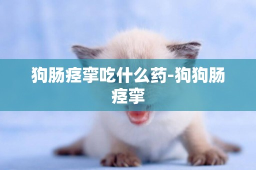 狗腸痙攣吃什么藥-狗狗腸痙攣