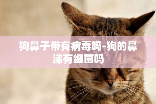 狗鼻子帶有病毒嗎-狗的鼻涕有細菌嗎