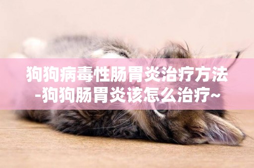 狗狗病毒性腸胃炎治療方法-狗狗腸胃炎該怎么治療~