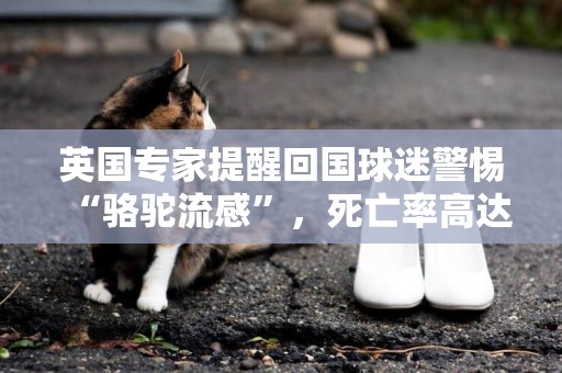 英國專家提醒回國球迷警惕“駱駝流感”，死亡率高達35% 
