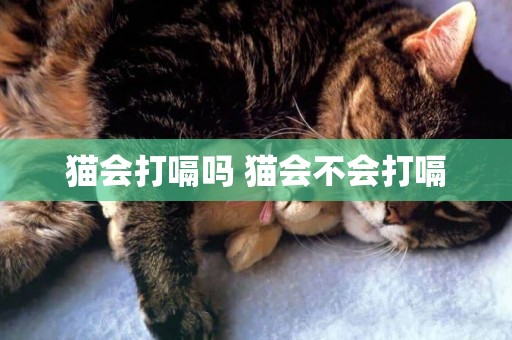 貓會打嗝嗎 貓會不會打嗝