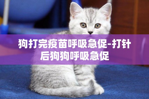 狗打完疫苗呼吸急促-打針后狗狗呼吸急促
