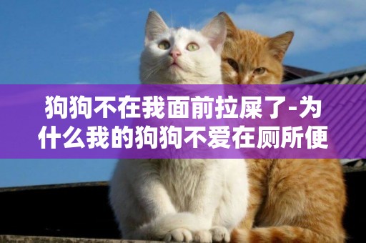 狗狗不在我面前拉屎了-為什么我的狗狗不愛在廁所便便