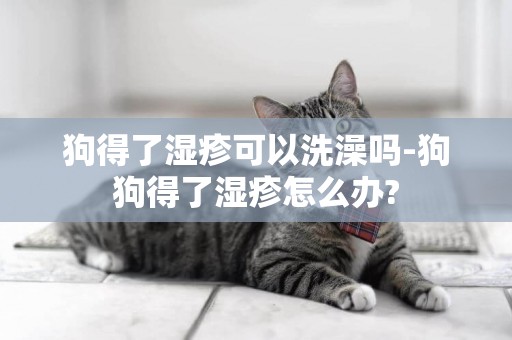 狗得了濕疹可以洗澡嗎-狗狗得了濕疹怎么辦?