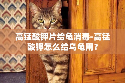 高錳酸鉀片給龜消毒-高錳酸鉀怎么給烏龜用？