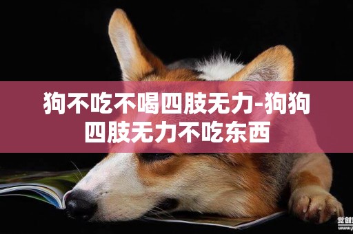 狗不吃不喝四肢無力-狗狗四肢無力不吃東西