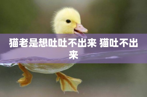 貓老是想吐吐不出來 貓吐不出來