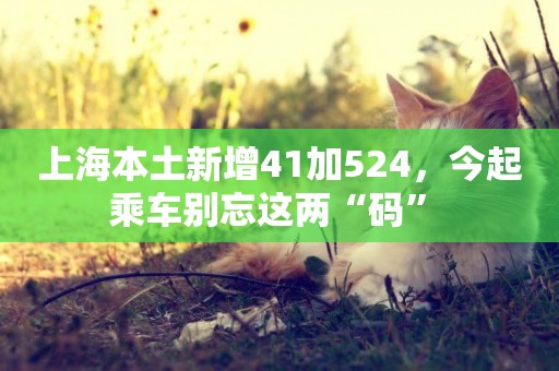 上海本土新增41加524，今起乘車別忘這兩“碼” 
