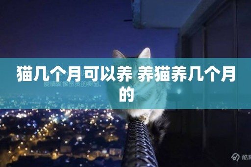 貓幾個月可以養 養貓養幾個月的