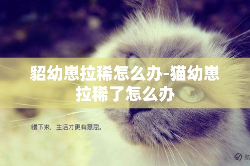 貂幼崽拉稀怎么辦-貓幼崽拉稀了怎么辦