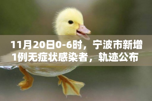11月20日0-6時，寧波市新增1例無癥狀感染者，軌跡公布 