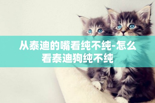 從泰迪的嘴看純不純-怎么看泰迪狗純不純
