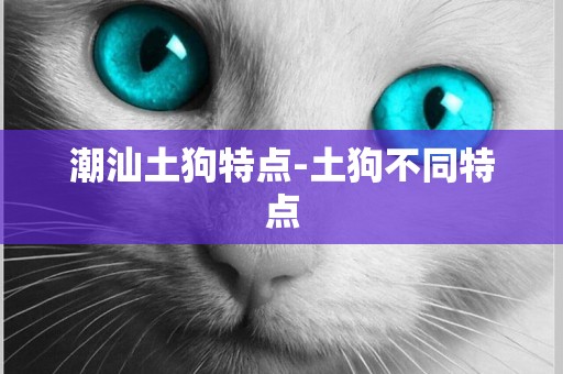 潮汕土狗特點-土狗不同特點