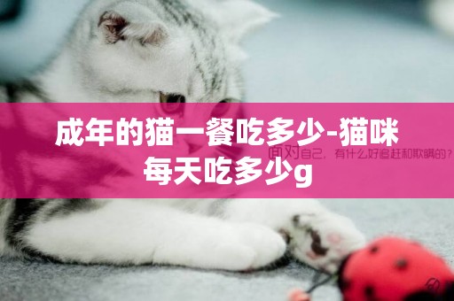 成年的貓一餐吃多少-貓咪每天吃多少g