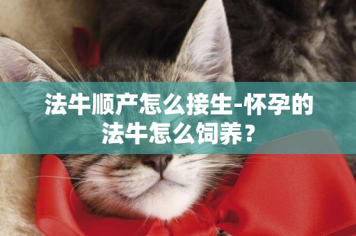 法牛順產怎么接生-懷孕的法牛怎么飼養？