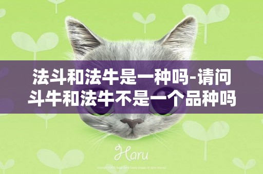 法斗和法牛是一種嗎-請問斗牛和法牛不是一個品種嗎?
