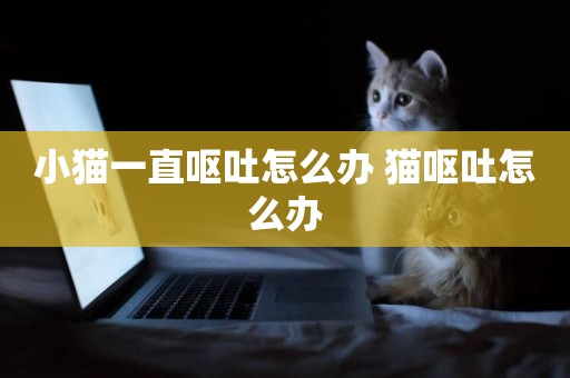 小貓一直嘔吐怎么辦 貓嘔吐怎么辦