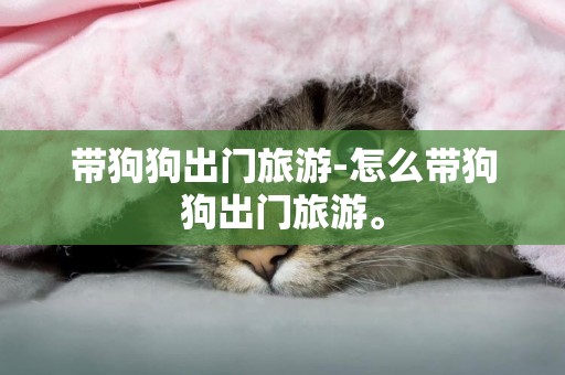 帶狗狗出門旅游-怎么帶狗狗出門旅游。