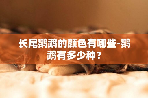 長尾鸚鵡的顏色有哪些-鸚鵡有多少種？