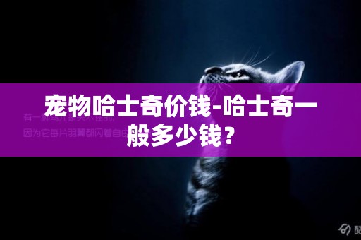 寵物哈士奇價錢-哈士奇一般多少錢？