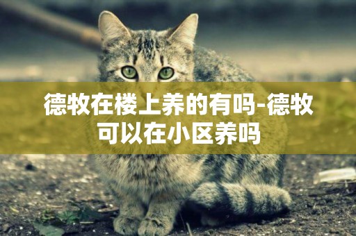 德牧在樓上養的有嗎-德牧可以在小區養嗎