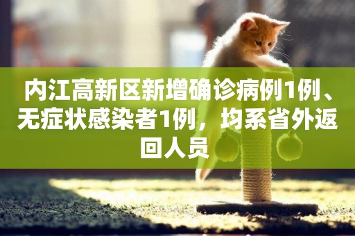 內江高新區新增確診病例1例、無癥狀感染者1例，均系省外返回人員 
